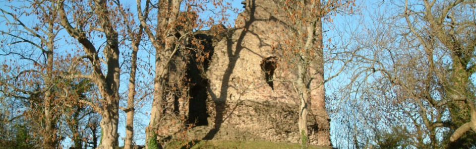 longtown castle